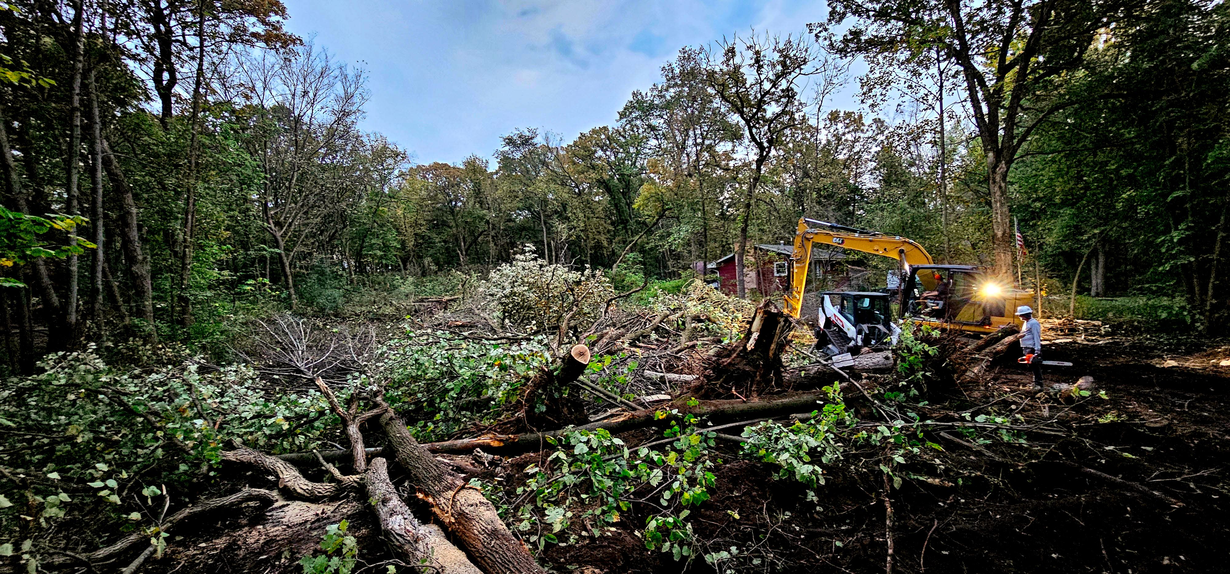 Cleared land result